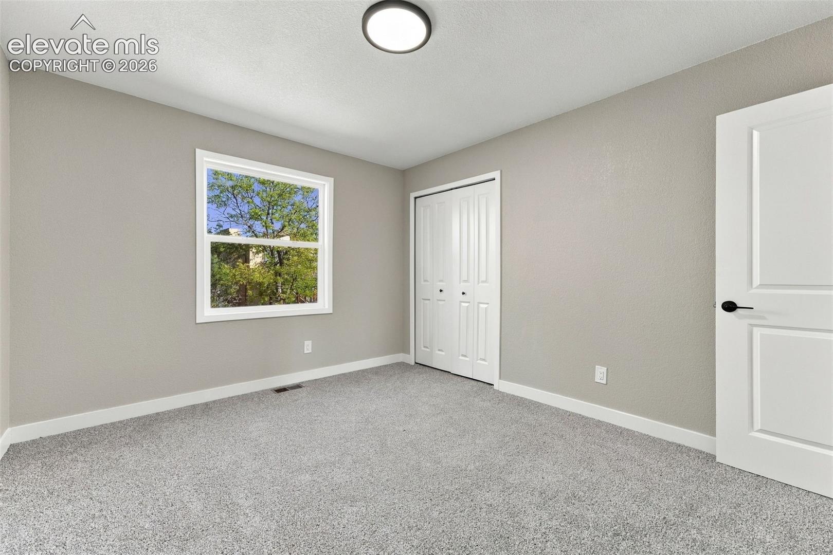 Neutral-toned wall paint, wall-to-wall carpeting, single-hung window with exterior greenery, double-panel closet doors, and flush-mount ceiling lighting