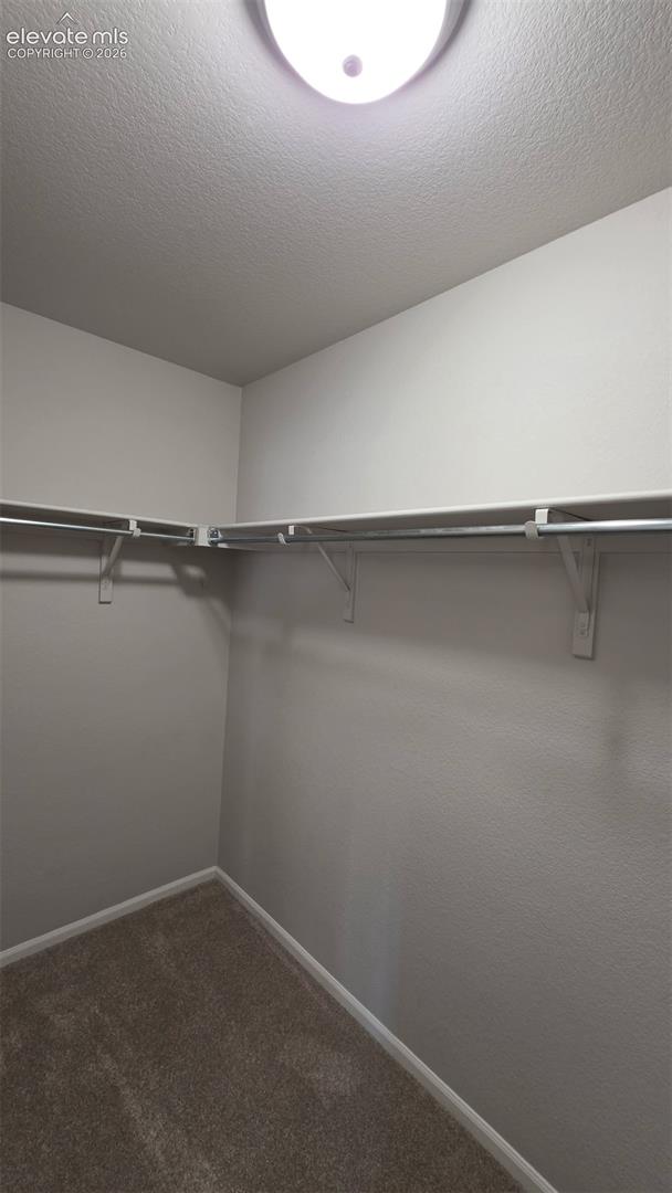 Walk-in storage space featuring neutral carpeting, installed metal clothing rods, white shelving, and a mounted ceiling light fixture
