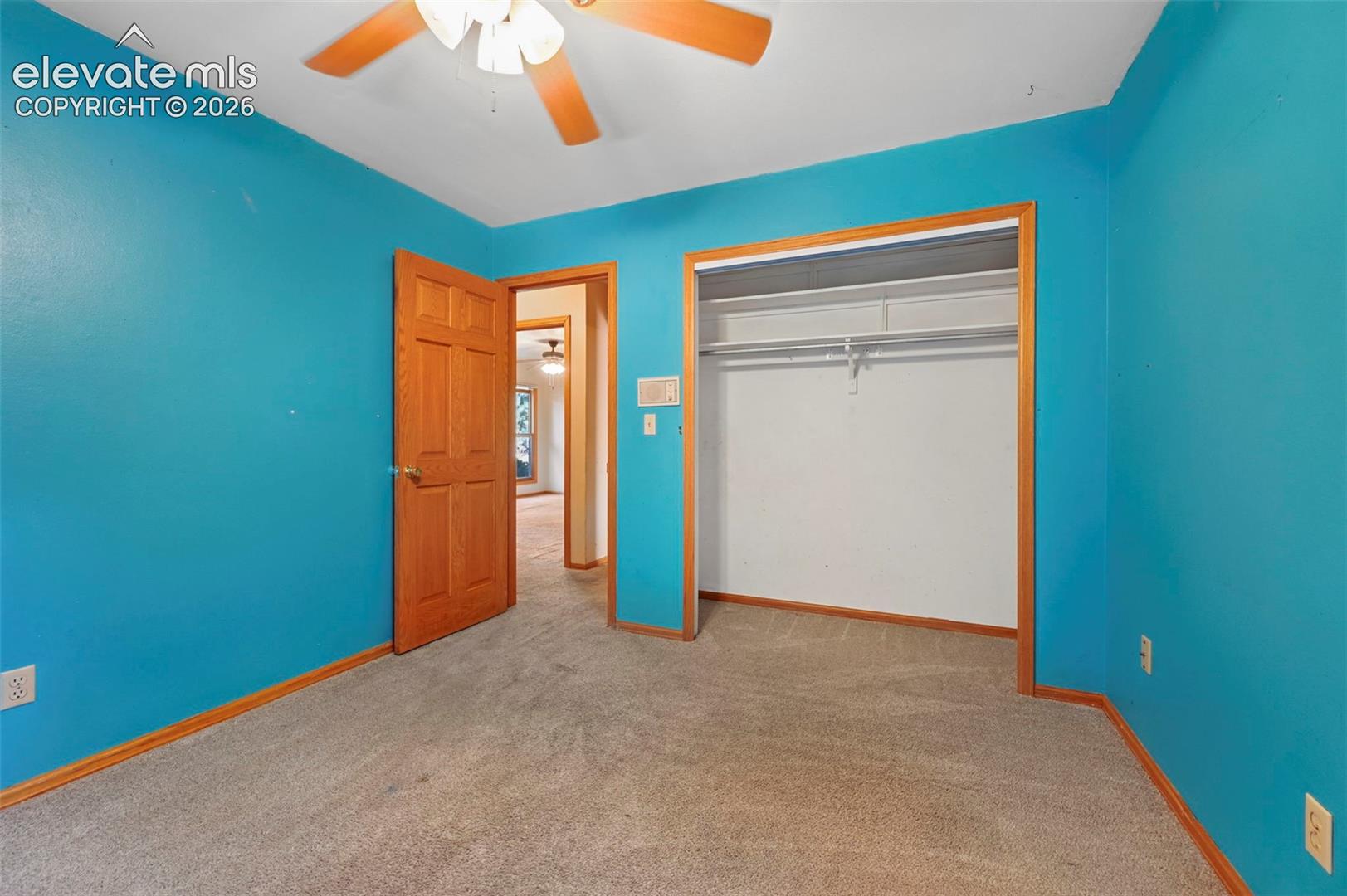Carpeted room featuring a ceiling fan, wood-finish door, and an open closet with shelving and hanging rods