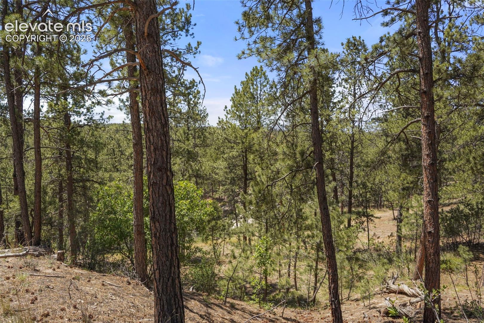 Photo 8 of 4465 Leprechaun Lane, Colorado Springs