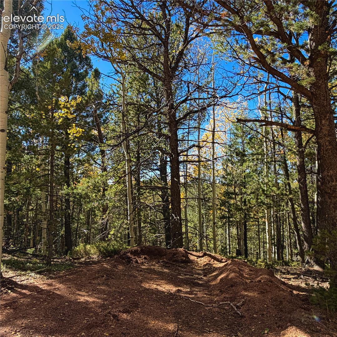 Photo 15 of 773 Timber Ridge Road, Divide