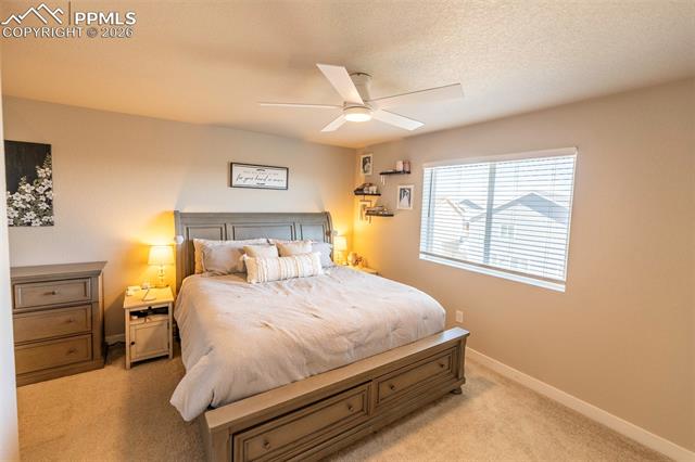 Photo 20 of 10552 Horton Drive, Colorado Springs