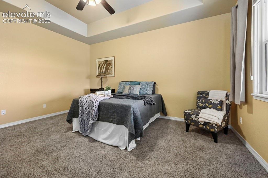 Tray ceiling with a ceiling fan, light-colored walls, window with blinds, and carpeted flooring