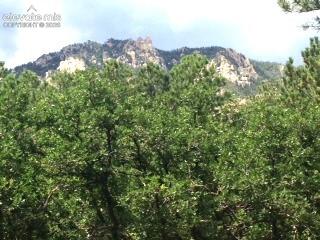 Photo 10 of 667 Silver Oak Grove, Colorado Springs