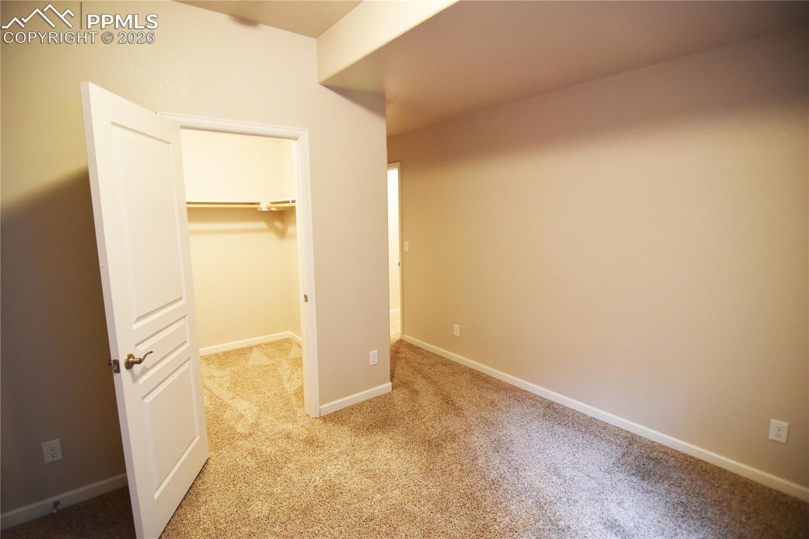 Basement bedroom 2 with large walking closet!