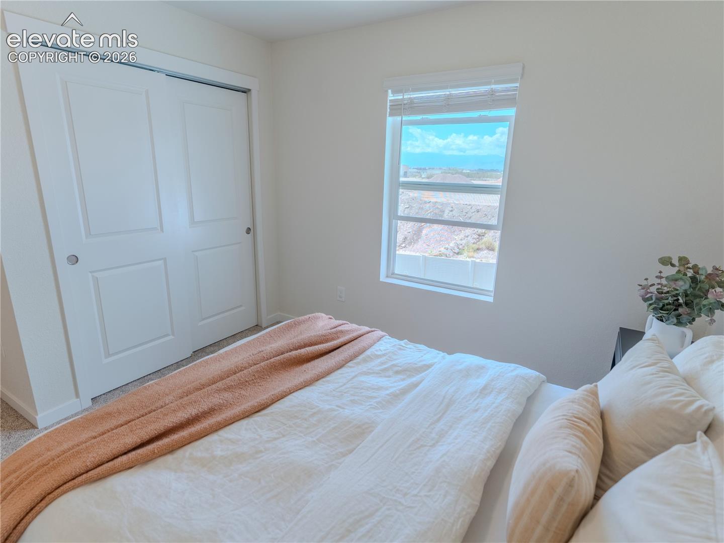 Photo 31 of 8290 Grey Bark Way, Colorado Springs
