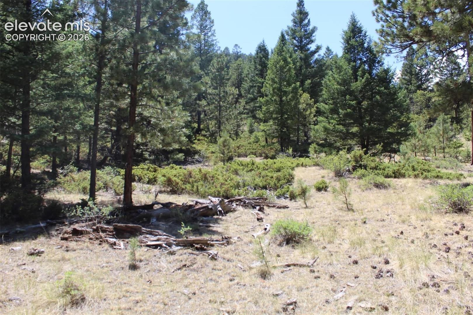Photo 20 of TBD Tallahassee Lane, Canon City