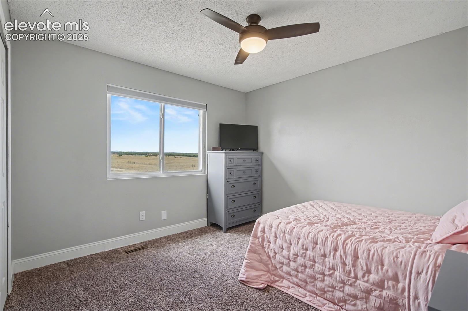 Neutral wall tones, carpeted flooring, and a ceiling fan with integrated lighting, featuring a window with exterior horizon exposure