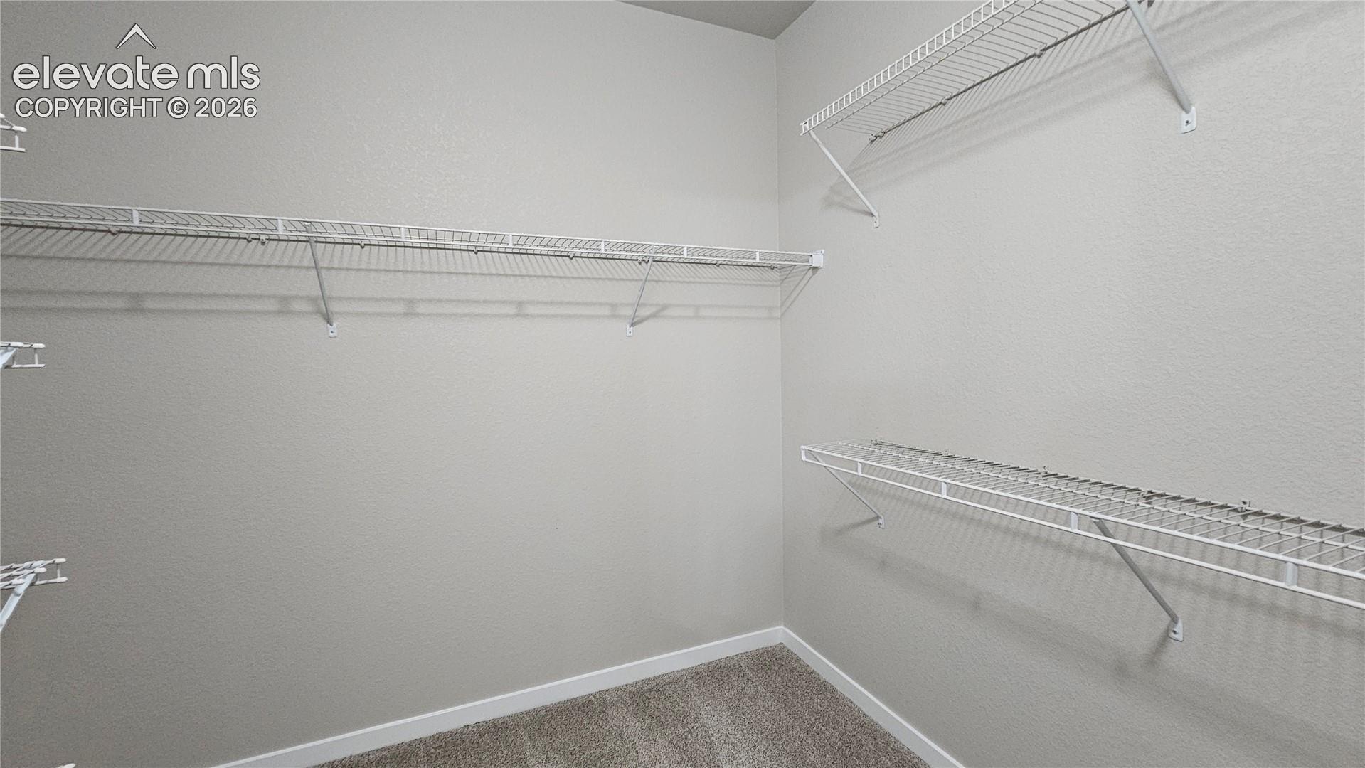 Photo 22 of 7773 Dry Willow Way, Colorado Springs