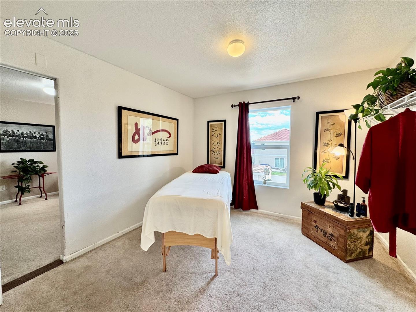 Carpeted room with a single window, a ceiling-mounted light fixture, and light-toned walls