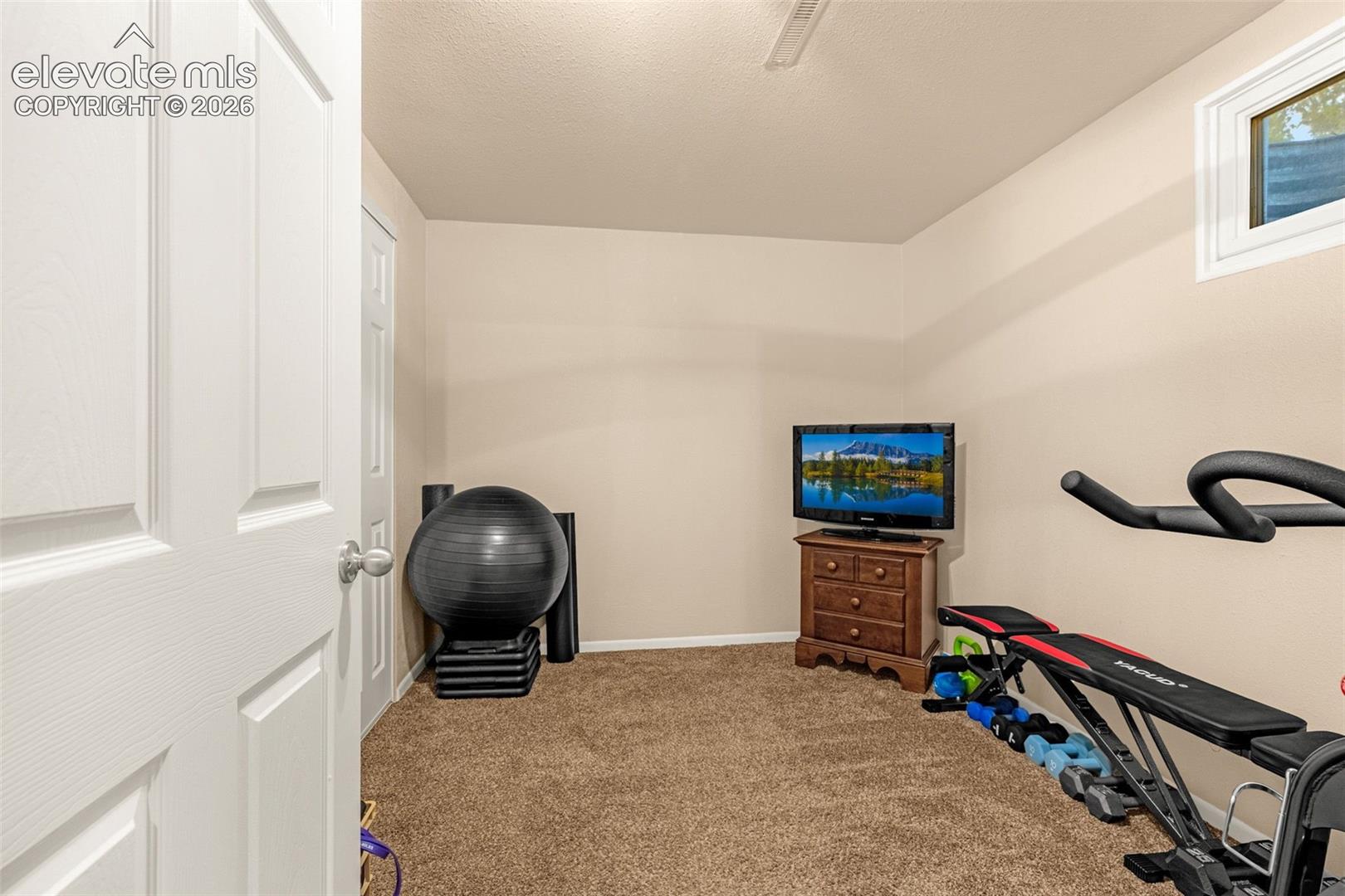 Carpeted basement bedroom with a white framed window