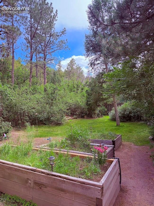Expansive backyard featuring multiple raised garden beds and a gravel pathway