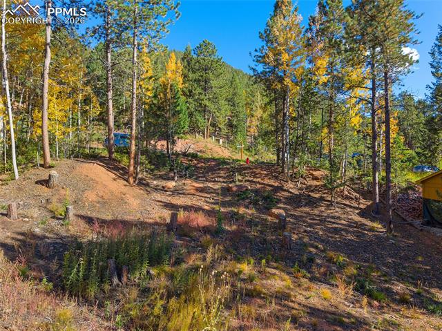 Photo 7 of 1320 Forest Edge Road, Woodland Park