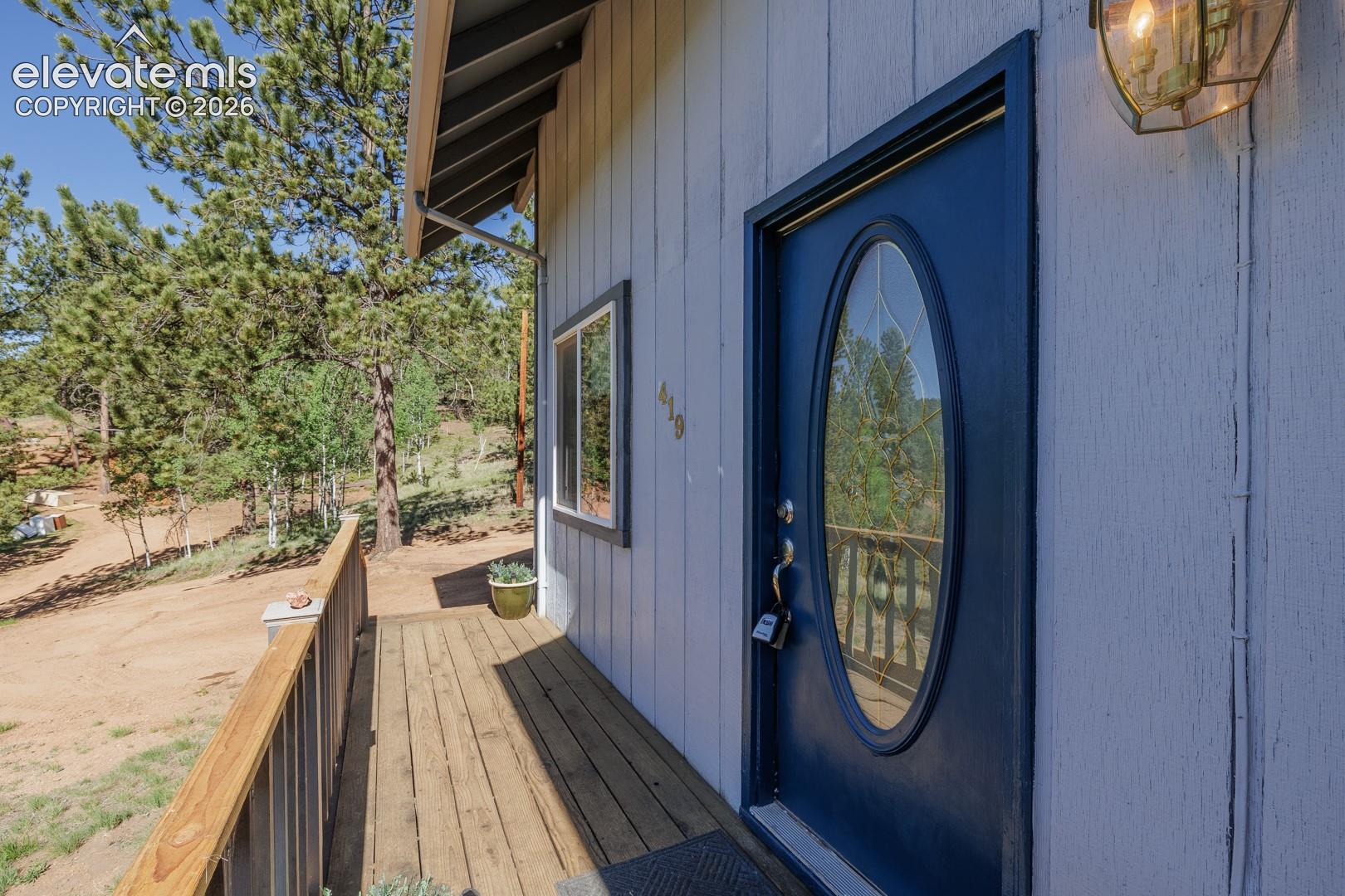 419 Lake Dr, Divide, CO 80814