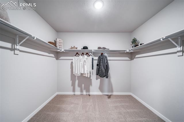 4970 Eddleman Ct, Colorado Springs, CO 80925