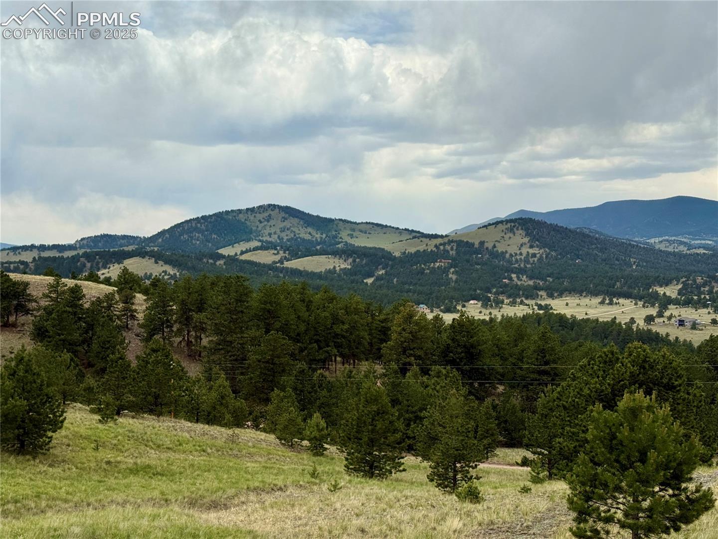 682 Nancy Ann Arroyo NA, Guffey, CO 80820