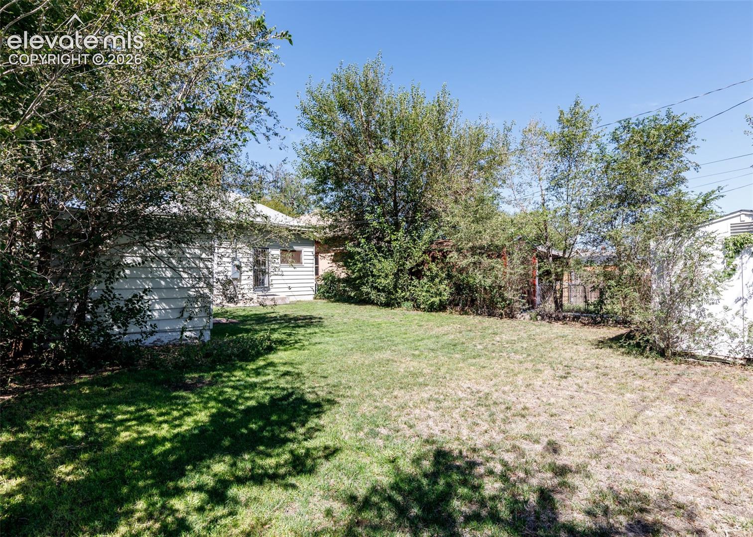 Expansive lawn area with mature trees and a detached structure