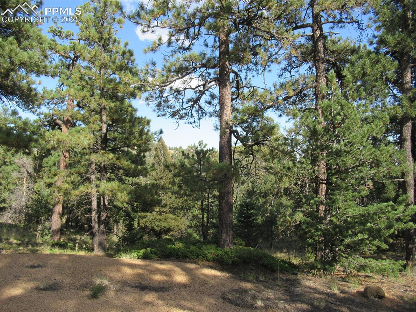 Photo 7 of 213 Coffee Pot Road, Manitou Springs