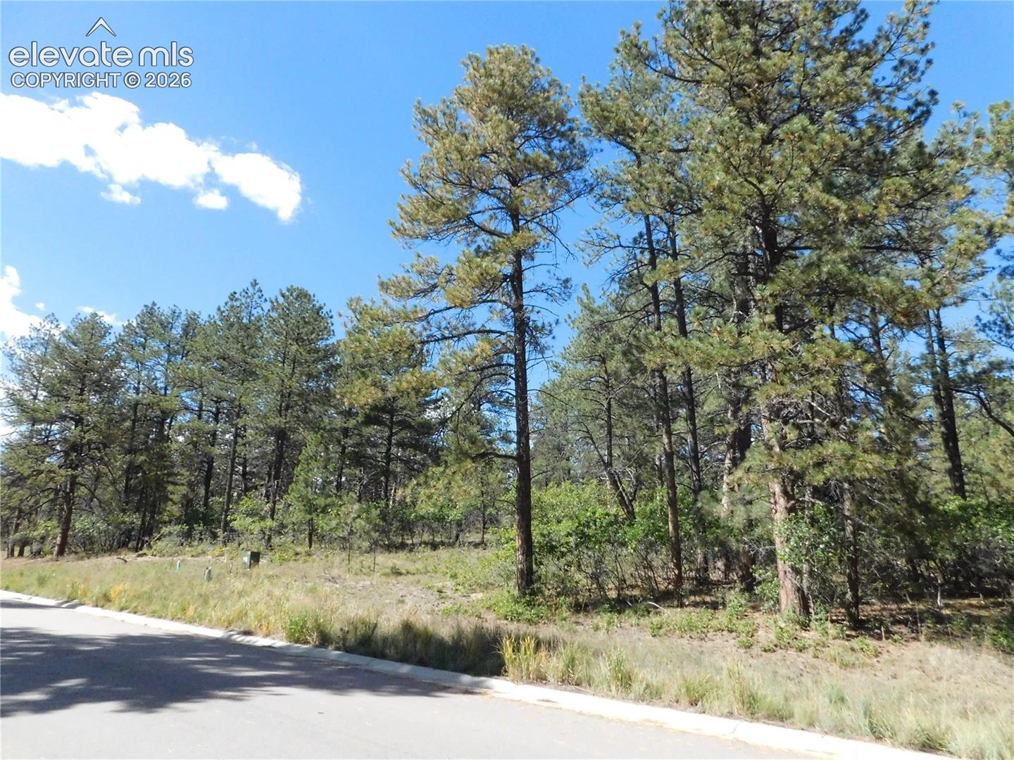 Photo 7 of 773 Copper Fox Place, Larkspur