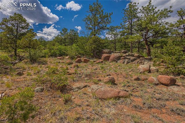 Photo 11 of 15505 S Cuerno Verde View, Colorado Springs
