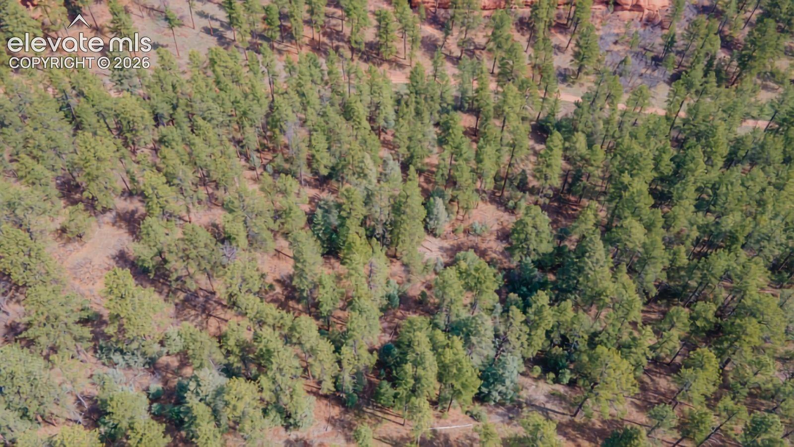 Photo 7 of 8257 Bannock Drive, Larkspur