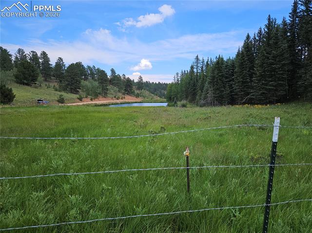 Photo 14 of 702 Lake Drive, Divide