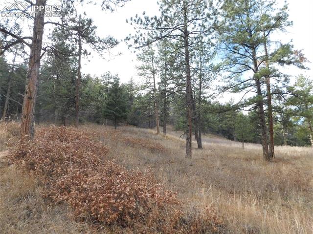 Photo 7 of 8055 Acoma Drive, Larkspur