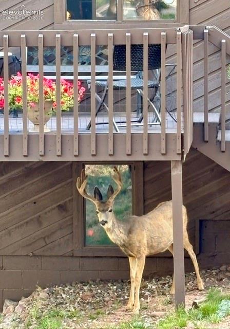 Friendly neighbor