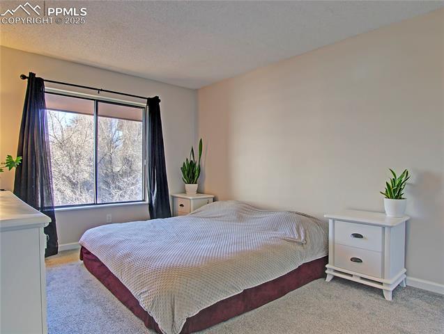 Master bedroom with large window.