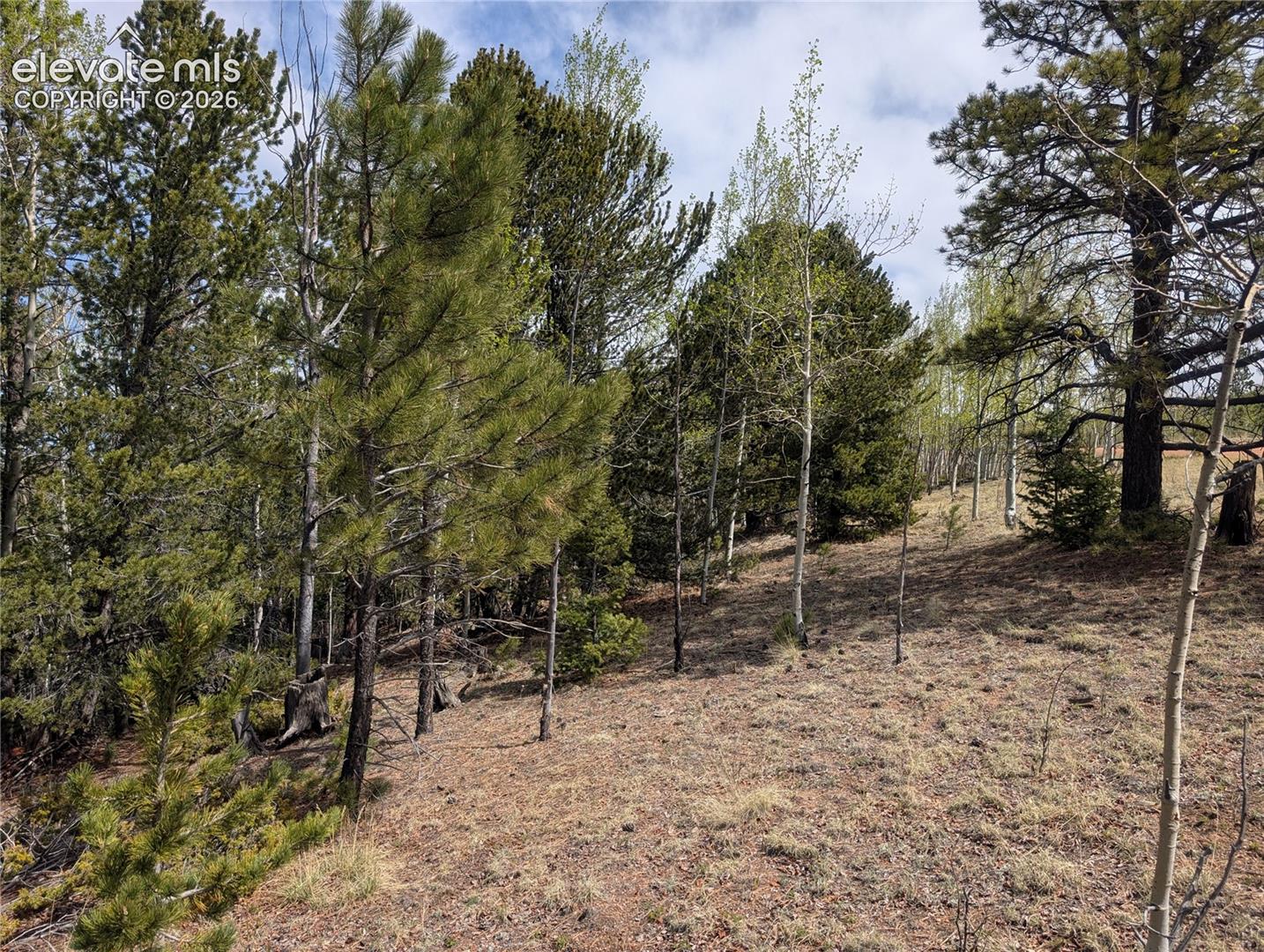 Photo 14 of 905 May Queen Drive, Cripple Creek