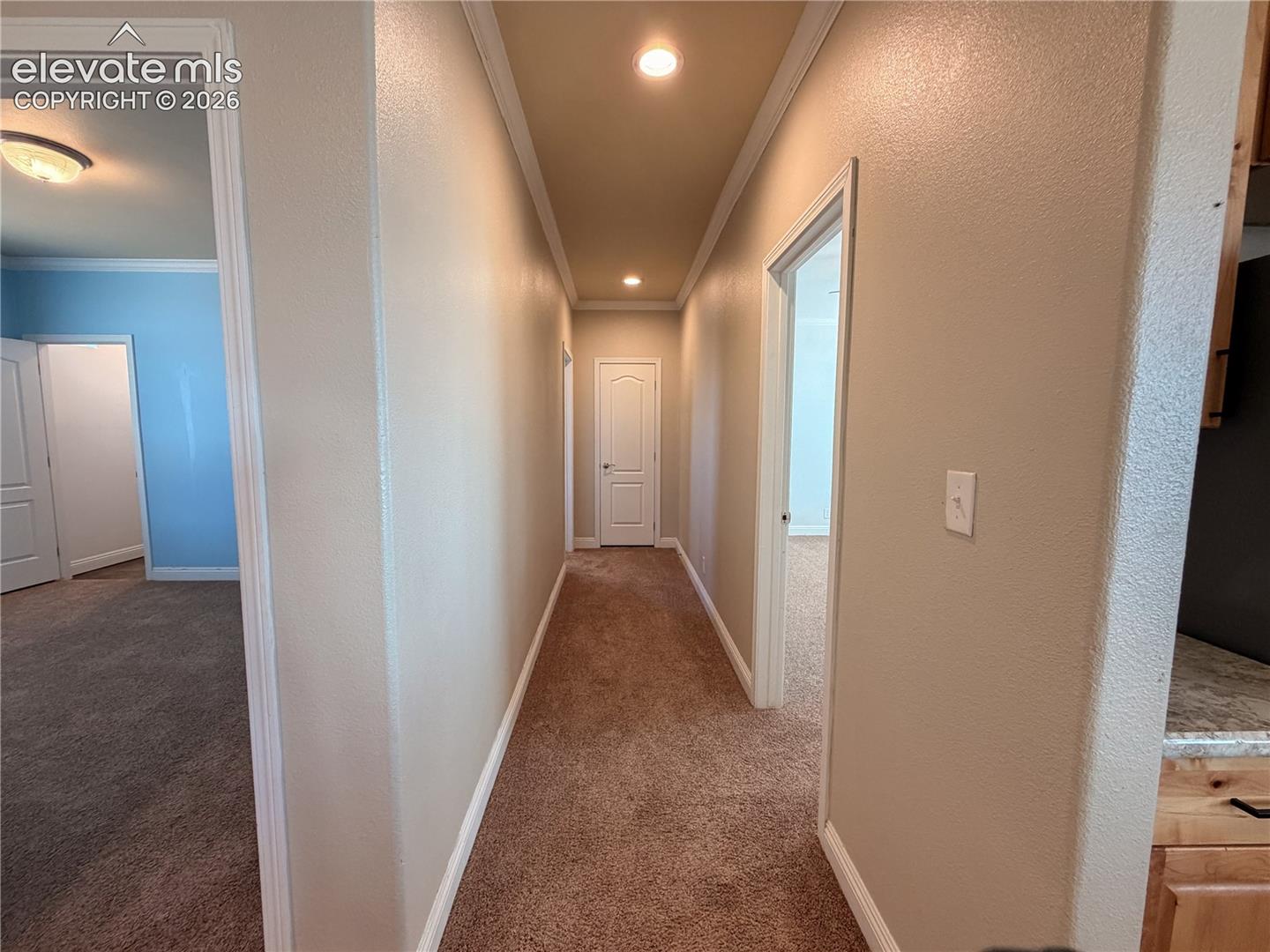 Hallway featuring neutral wall paint, carpeted flooring, recessed lighting, and multi-panel interior doors