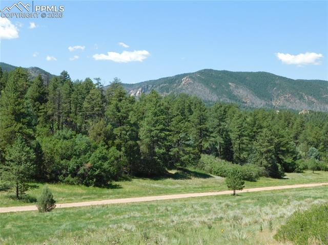Photo 11 of 4668 Comanche Drive, Larkspur