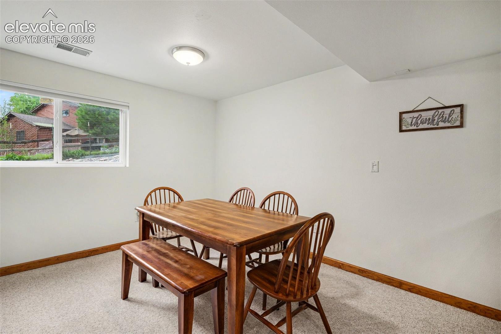Basement Family Room