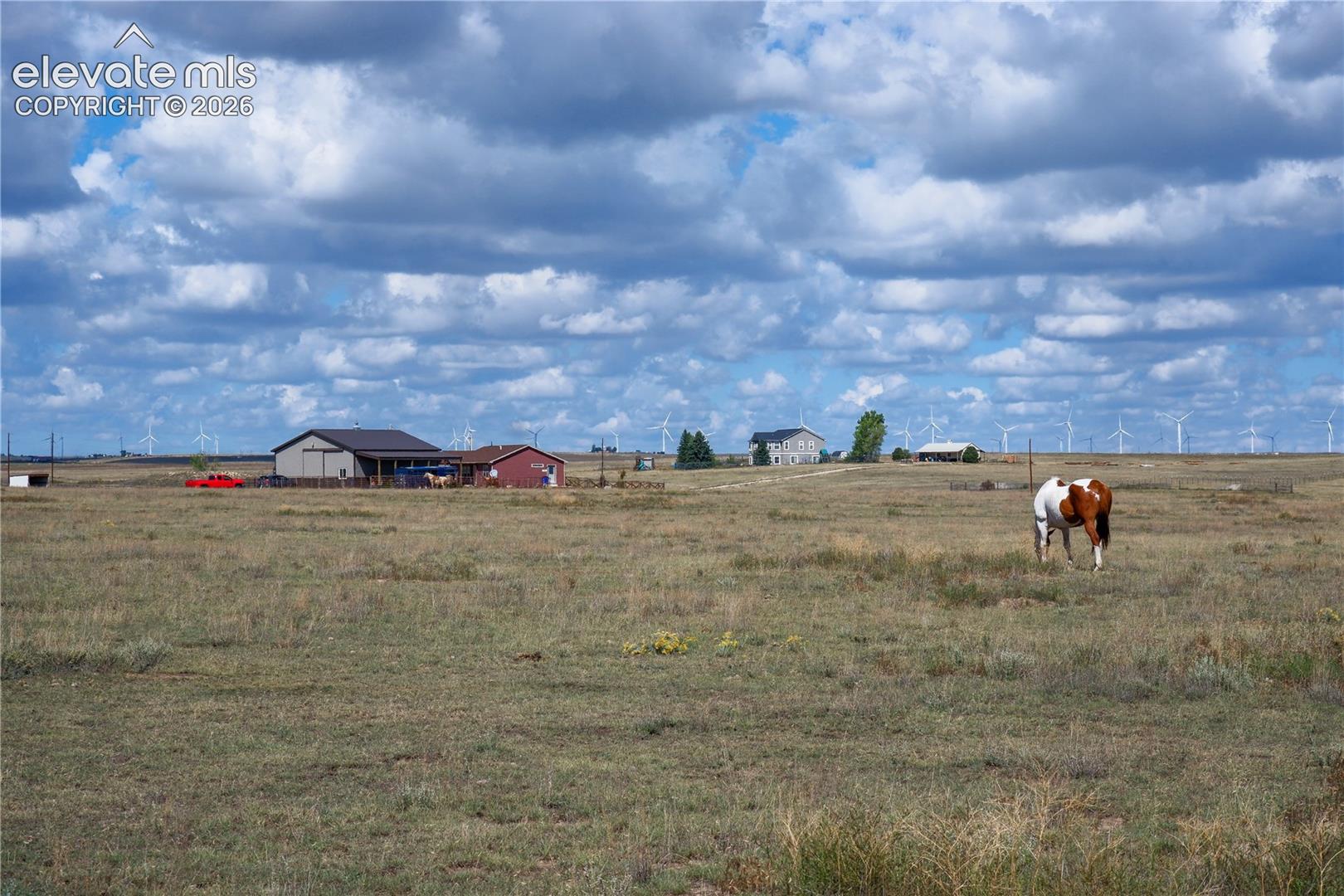 near the back of the 35 acres property. horses grazing