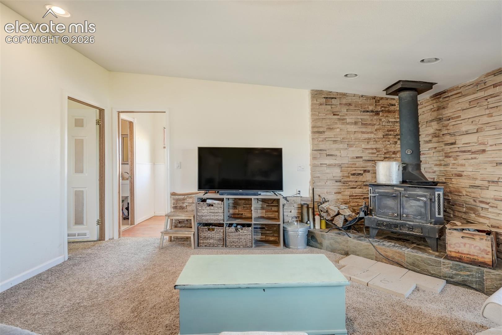 Wood burning stove