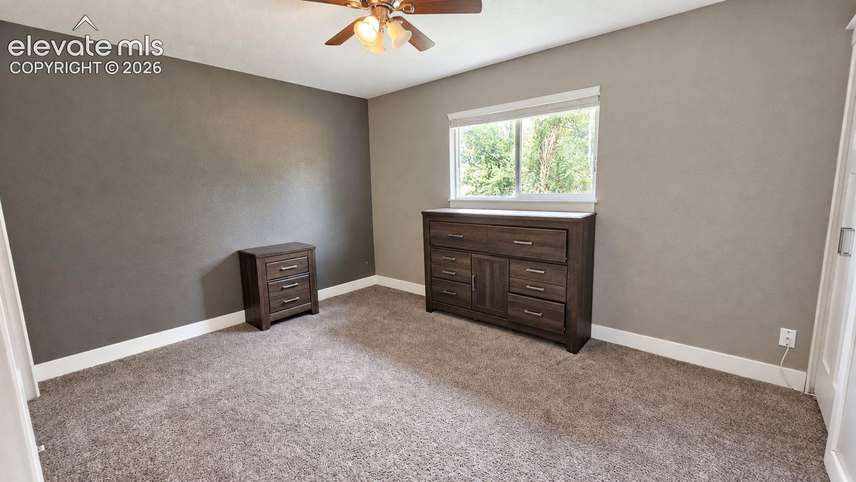 Neutral wall paint, white trim, and carpeted flooring