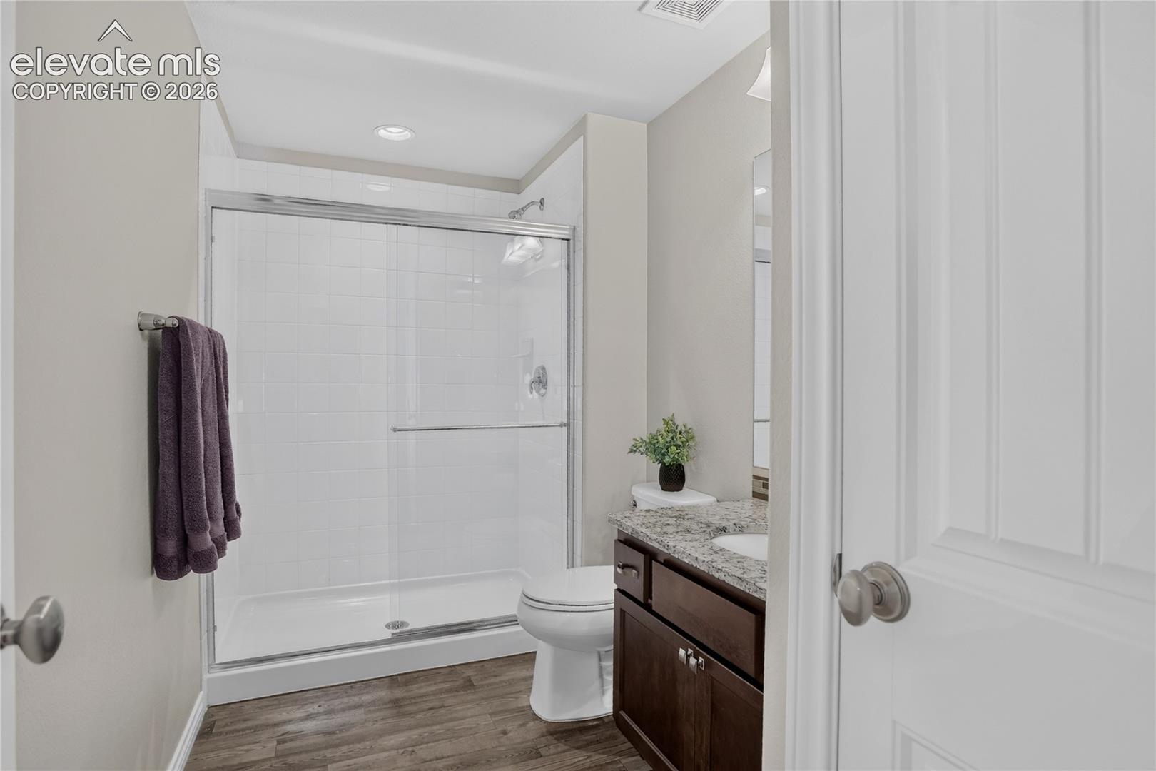 Guest bath - lower level
