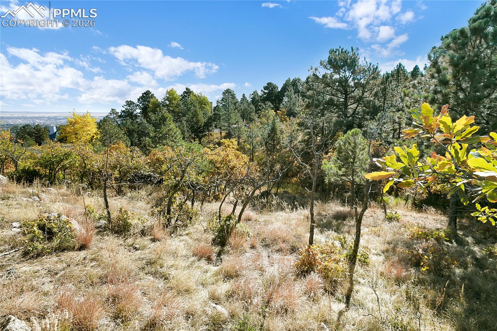 Photo 11 of 4688 Stone Manor Heights, Colorado Springs