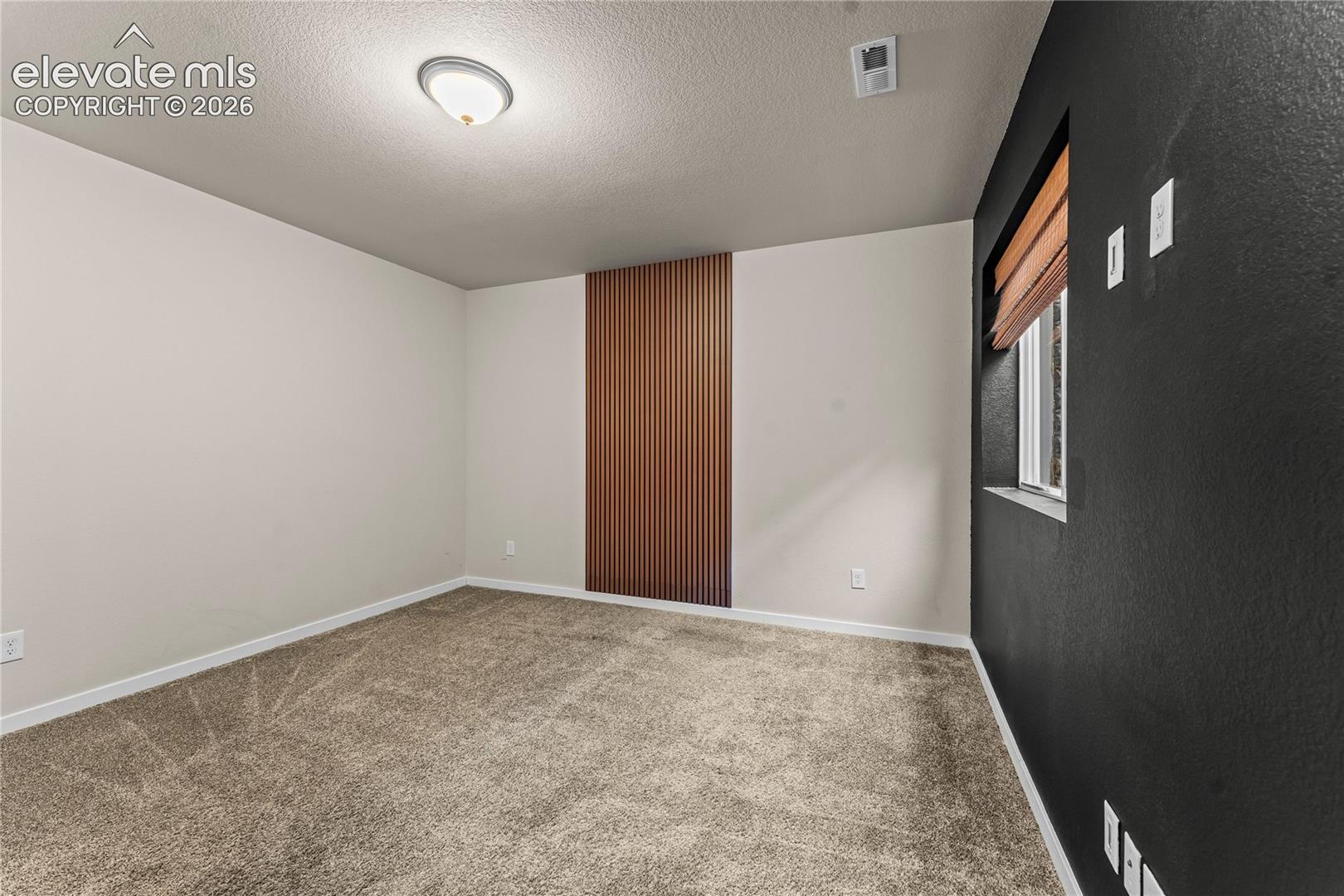 Room interior featuring neutral wall paint, a dark accent wall, vertical wood-slat wall paneling, and carpeted flooring