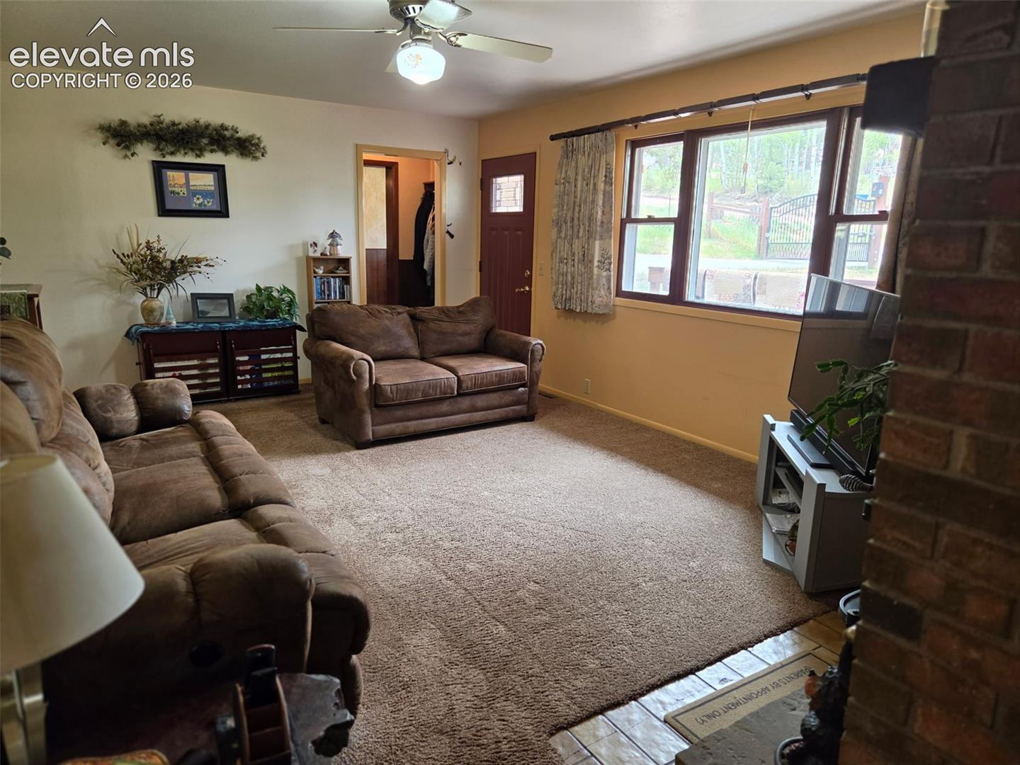 741 Elfin Glen Dr, Divide, CO 80814