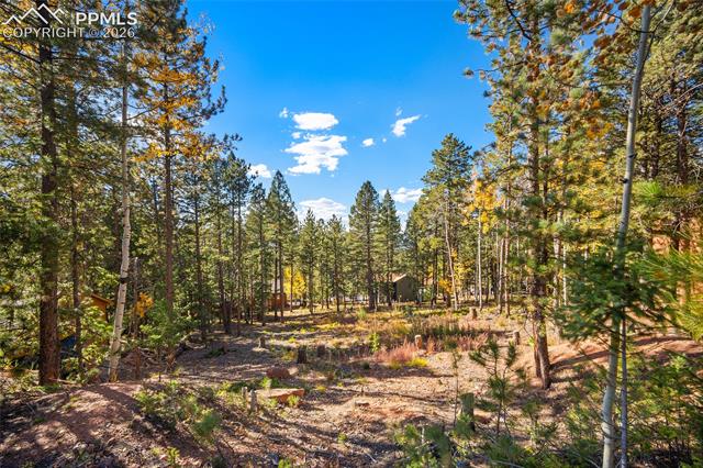 1320 Forest Edge Rd, Woodland Park, CO 80863