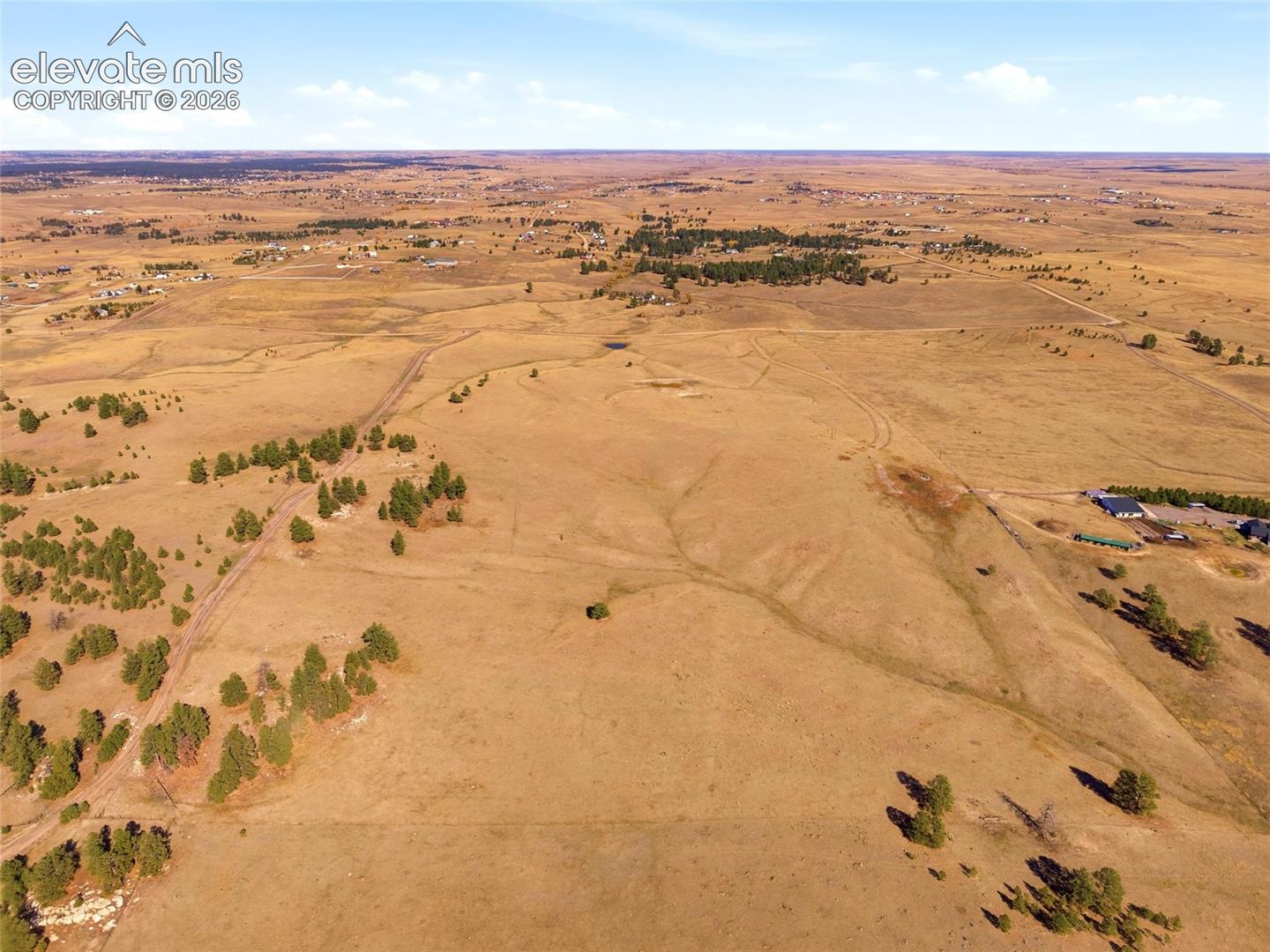 Expansive acreage featuring rolling topography, clusters of mature evergreen trees, and native vegetation