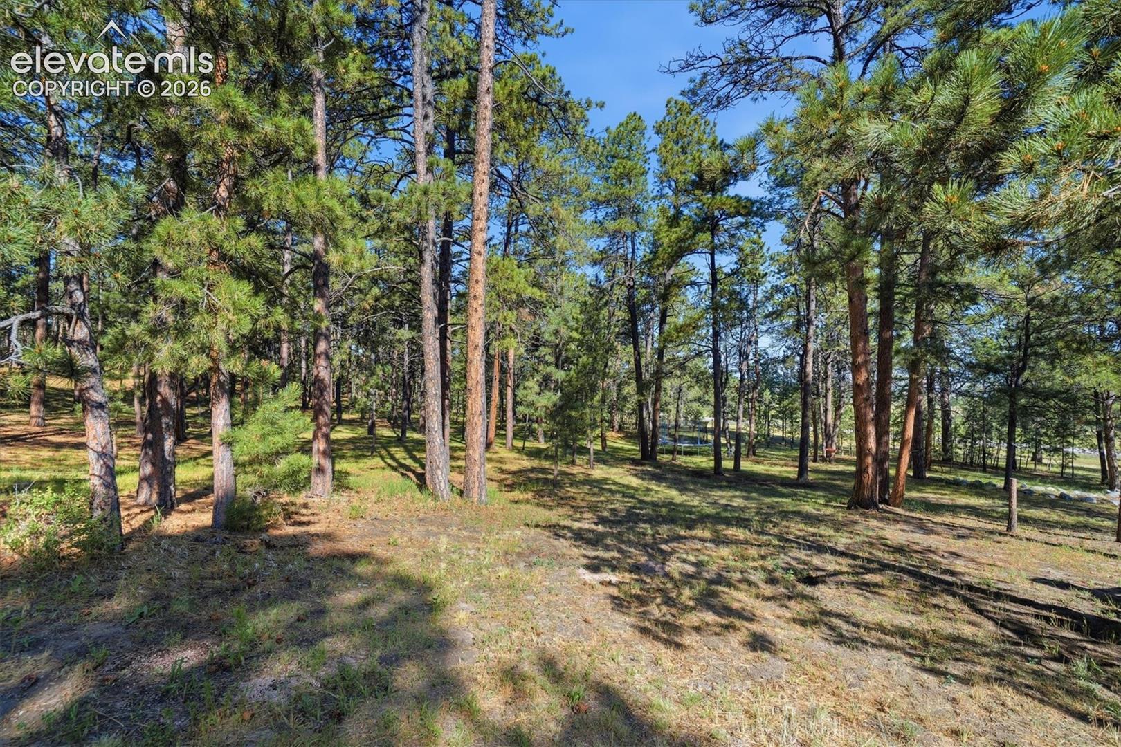 Photo 46 of 20470 Lockridge Drive, Colorado Springs