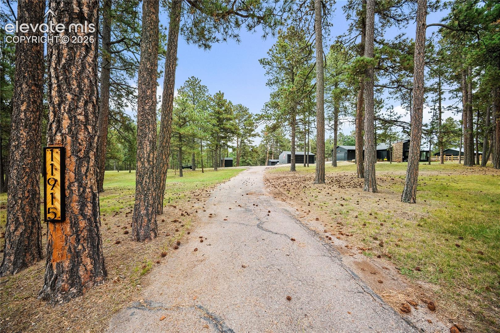 Paved private driveway winding through a wooded landscape featuring mature pine trees and natural terrain