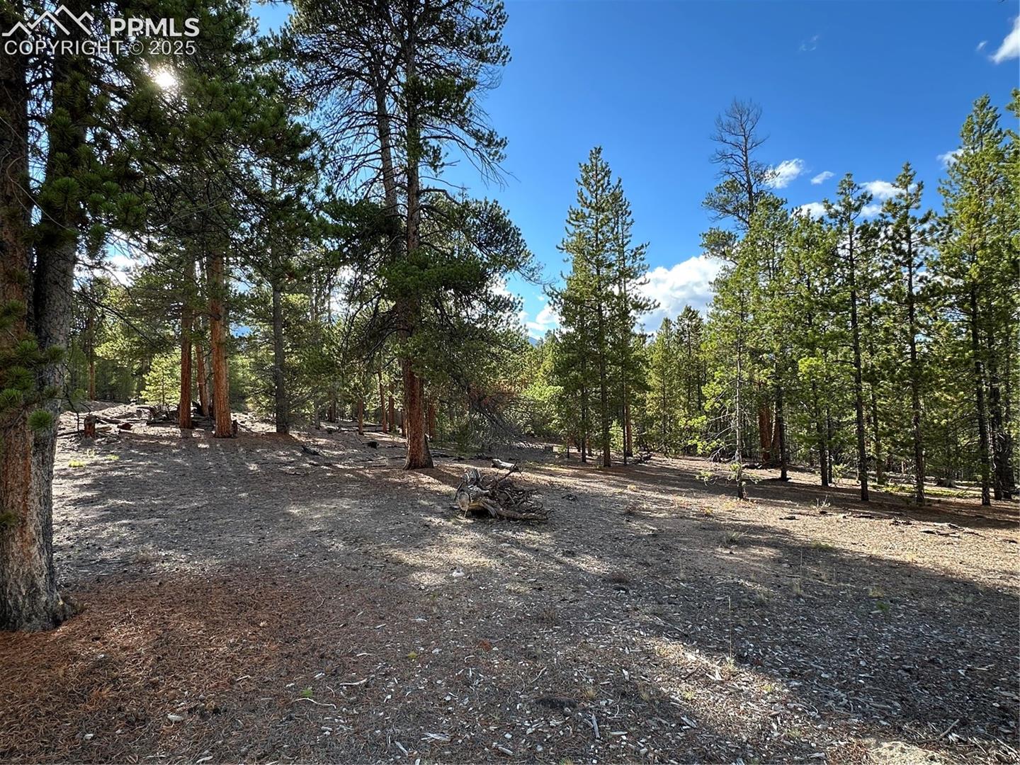 Photo 12 of 143 Fir Drive, Leadville
