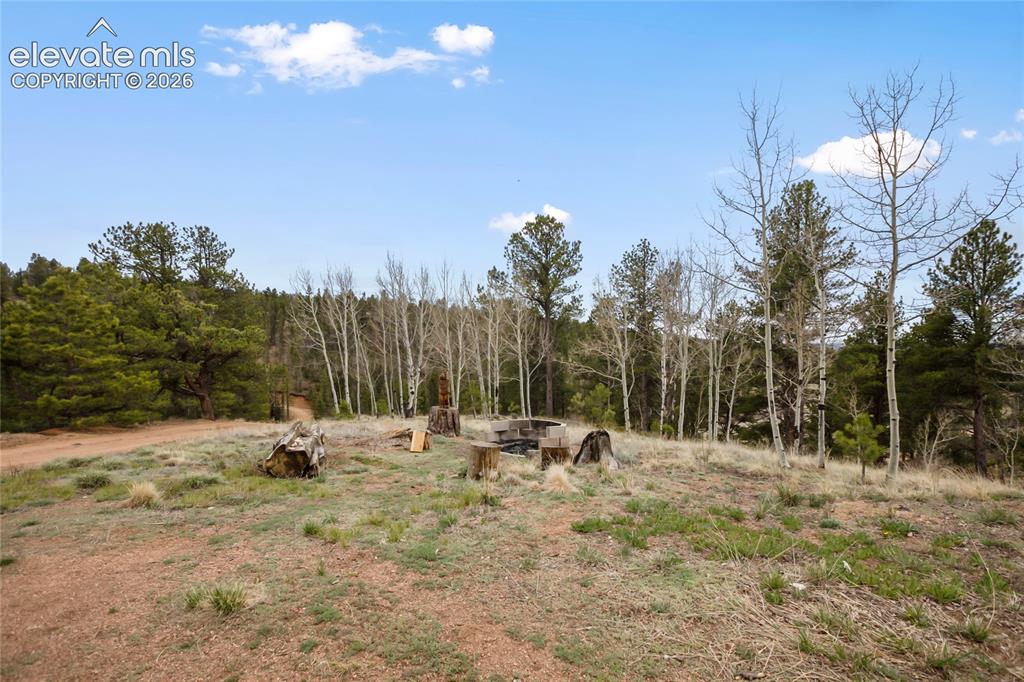 79 Beaver Creek Cir, Florissant, CO 80816