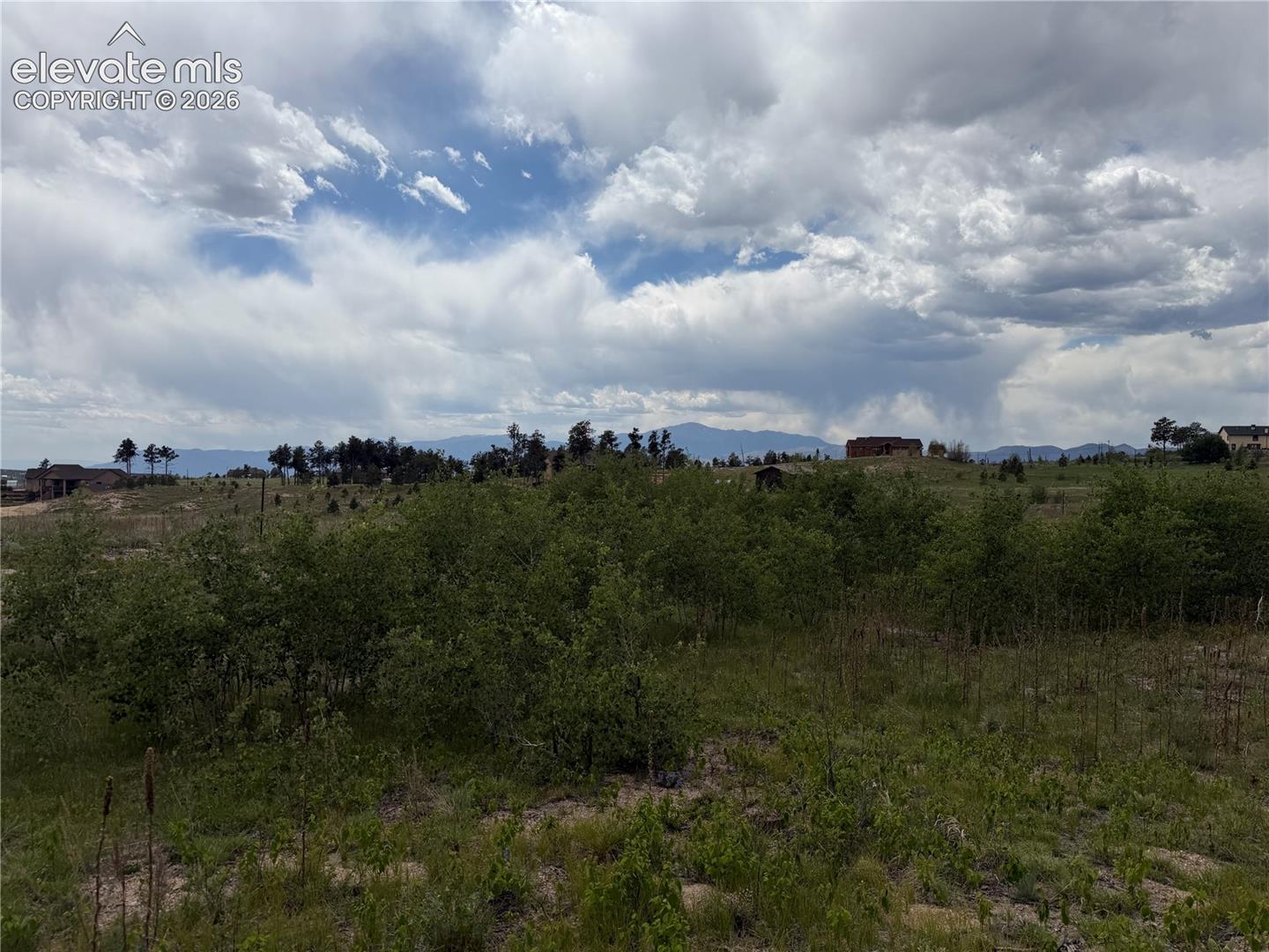 Photo 7 of 13810 Wildoak Drive, Black Forest