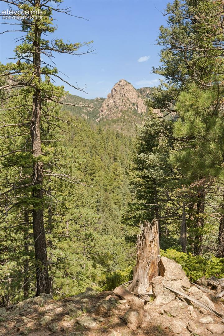 Photo 38 of 5110 Little Turkey Creek Road, Colorado Springs