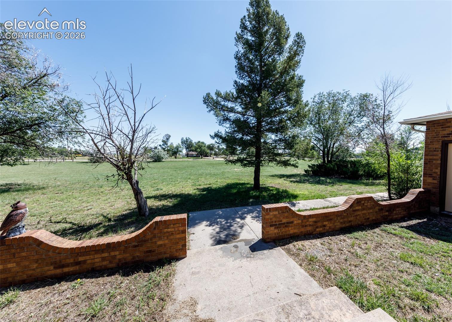 Front Yard