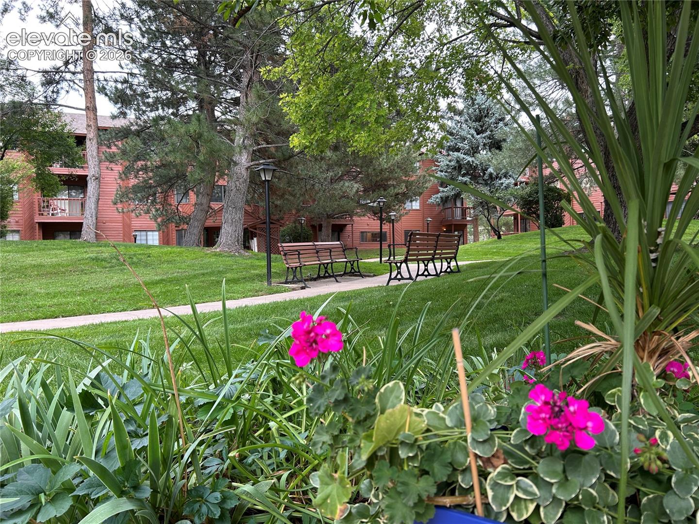 Beautiful community garden